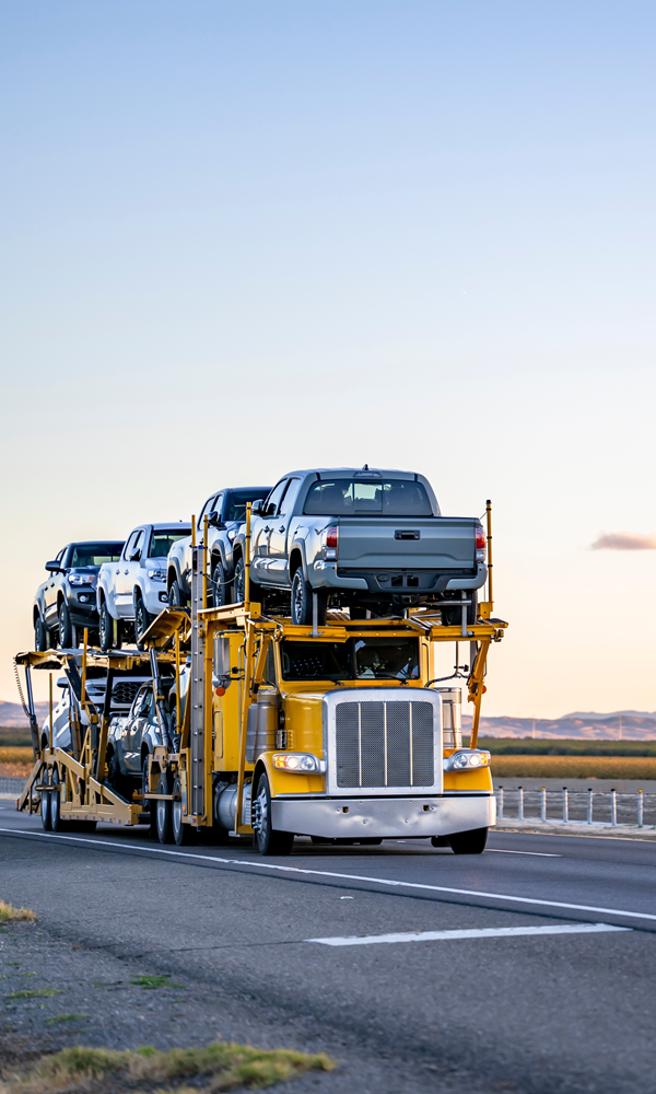 Car Shipping Companies